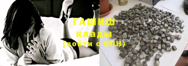 прущие грибы Алзамай