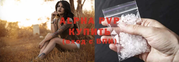 скорость Каменка
