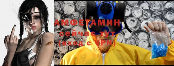 спиды Алексеевка