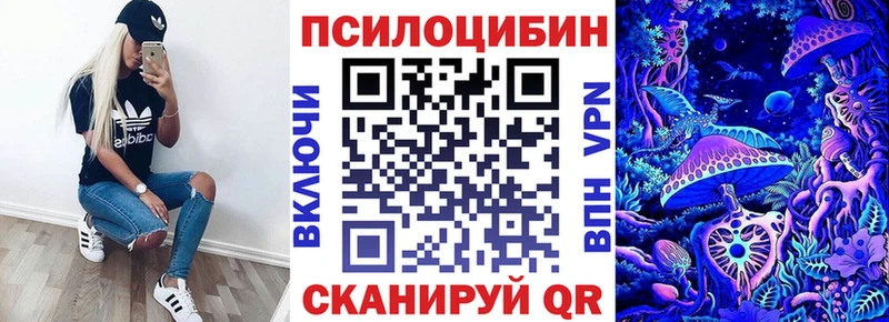 Галлюциногенные грибы Psilocybe Бакал